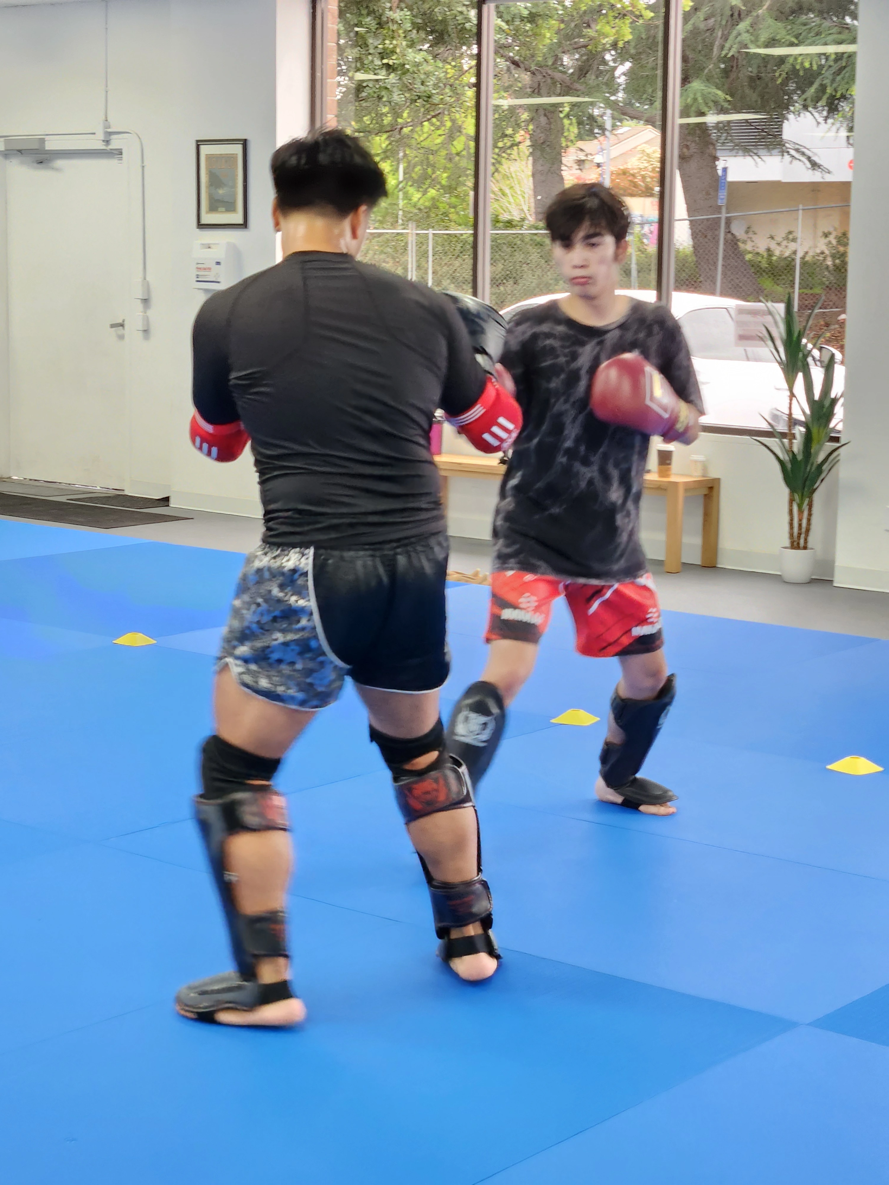 Adult kickboxing training at Kuleana Jiu-Jitsu Sunnyvale